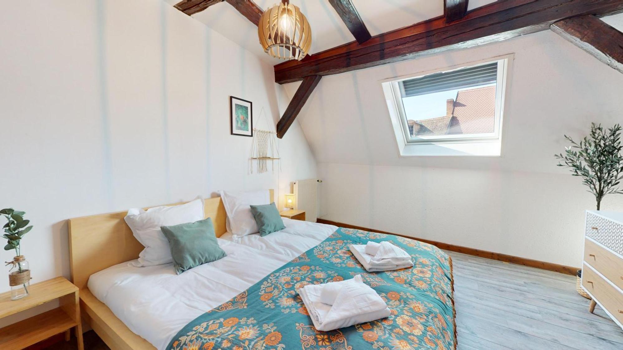 Appartamento Le Petit Chez Vous Colmar Esterno foto