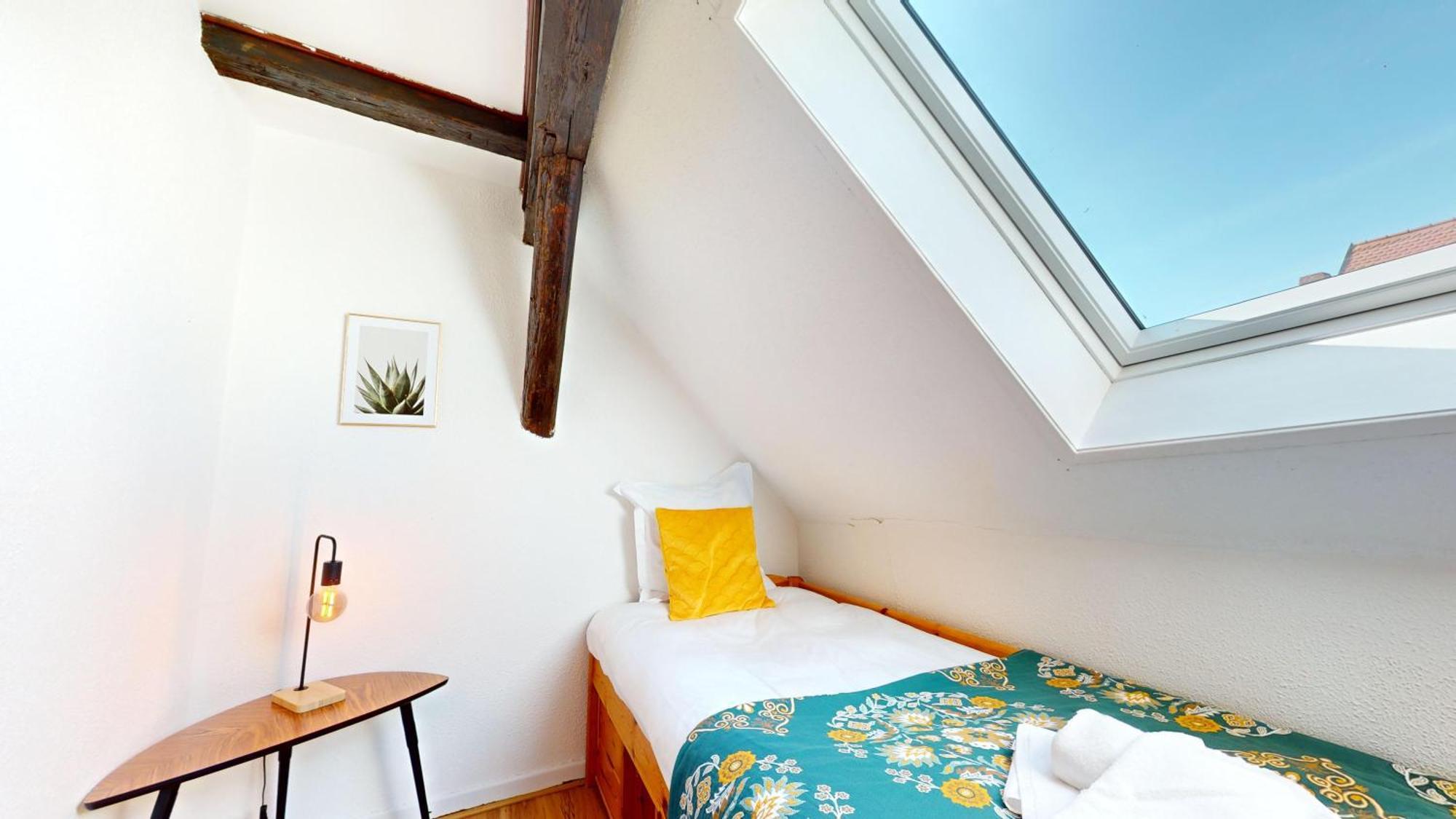 Appartamento Le Petit Chez Vous Colmar Esterno foto