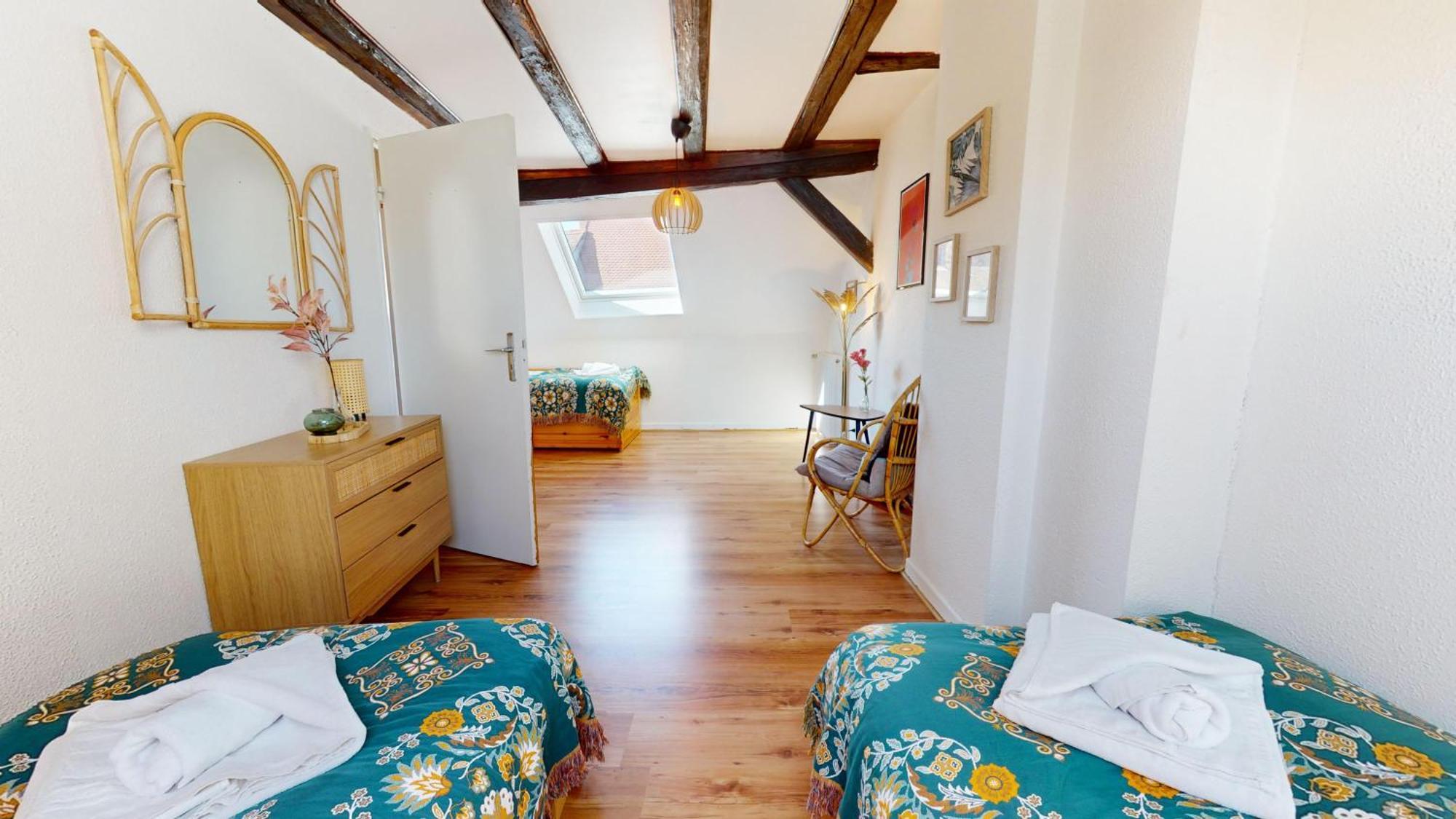 Appartamento Le Petit Chez Vous Colmar Esterno foto